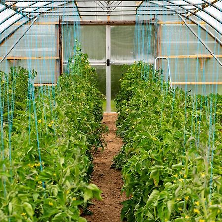 Mothir Joerth Organic Farm Guesthouse In Vallanes Zewnętrze zdjęcie