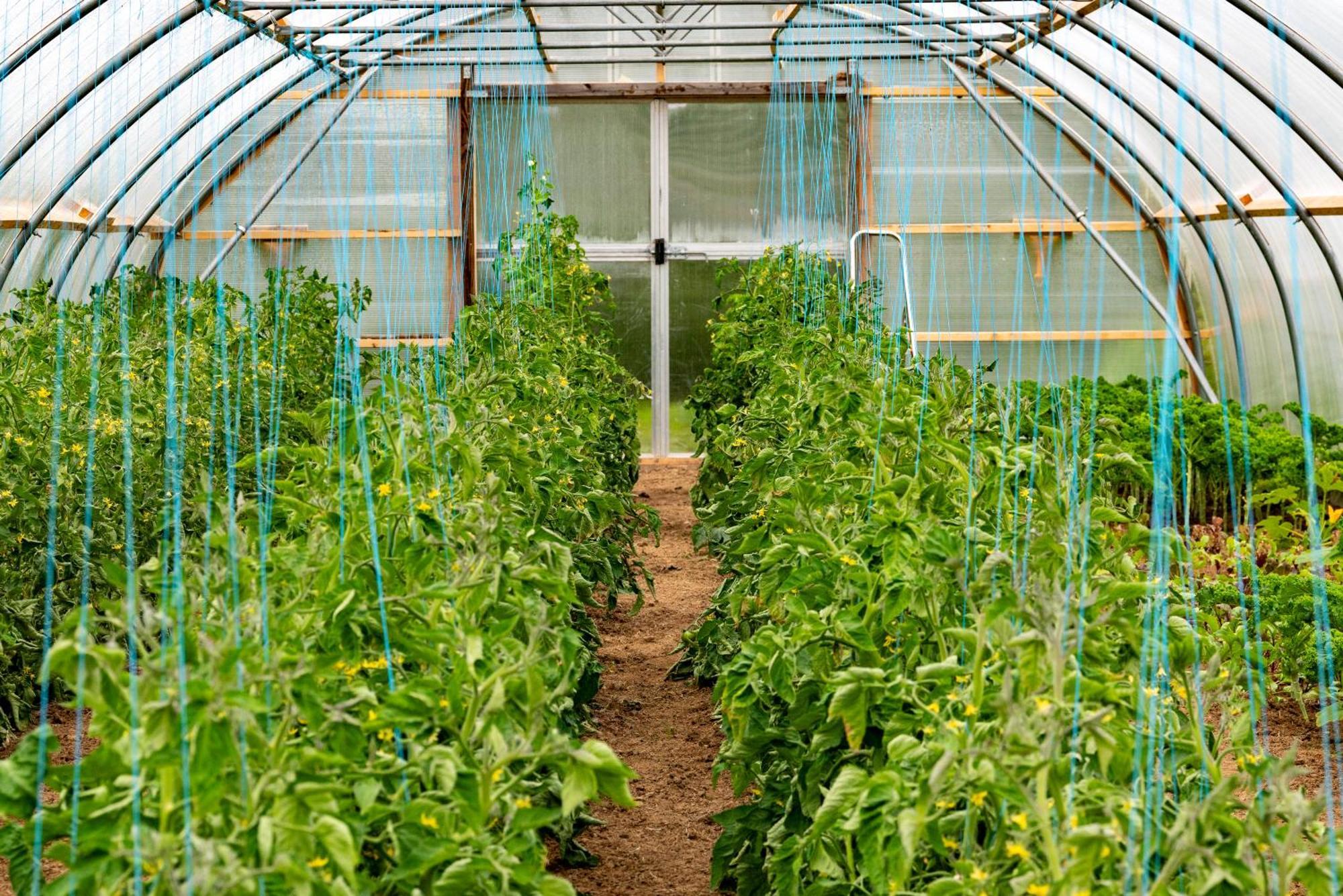 Mothir Joerth Organic Farm Guesthouse In Vallanes Zewnętrze zdjęcie